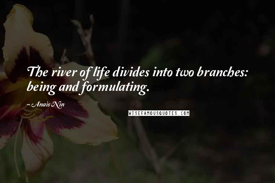 Anais Nin Quotes: The river of life divides into two branches: being and formulating.