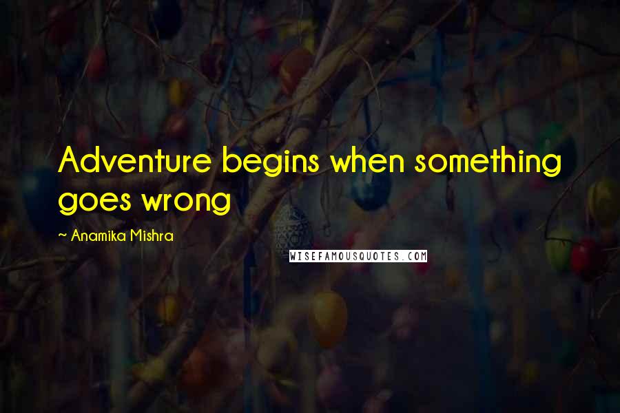 Anamika Mishra Quotes: Adventure begins when something goes wrong