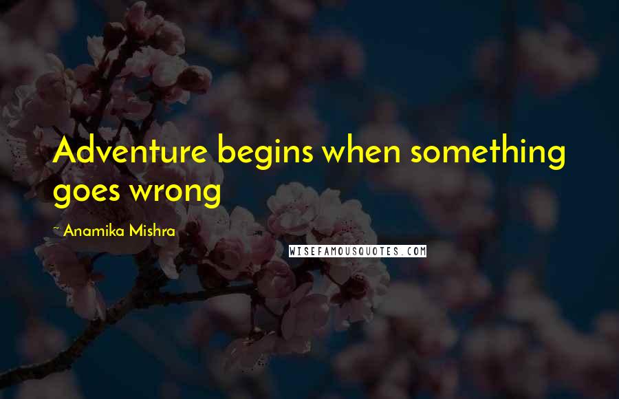 Anamika Mishra Quotes: Adventure begins when something goes wrong