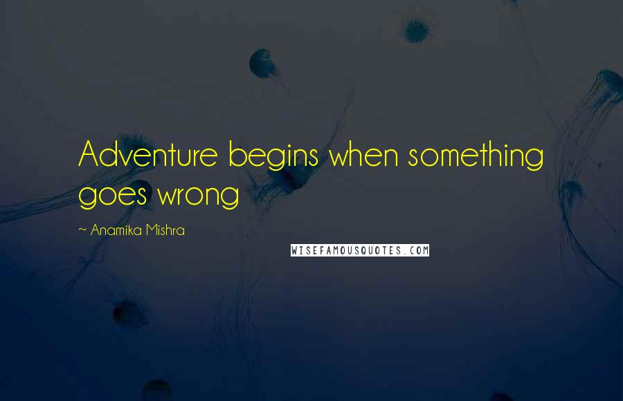 Anamika Mishra Quotes: Adventure begins when something goes wrong