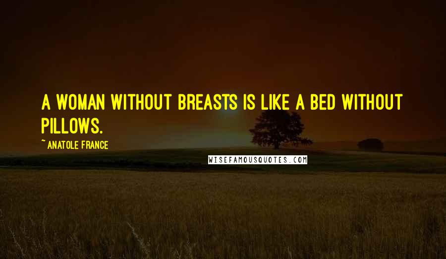 Anatole France Quotes: A woman without breasts is like a bed without pillows.