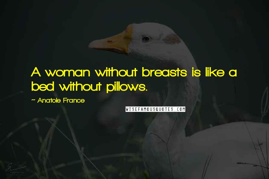 Anatole France Quotes: A woman without breasts is like a bed without pillows.