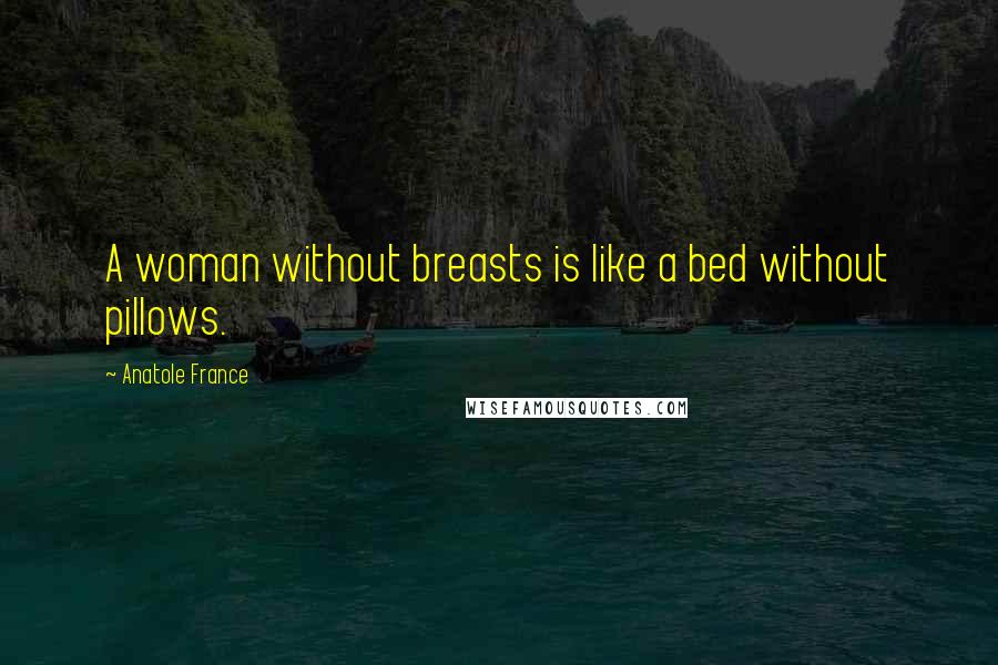 Anatole France Quotes: A woman without breasts is like a bed without pillows.