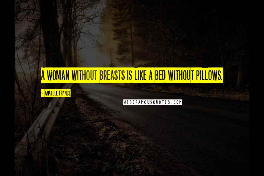 Anatole France Quotes: A woman without breasts is like a bed without pillows.