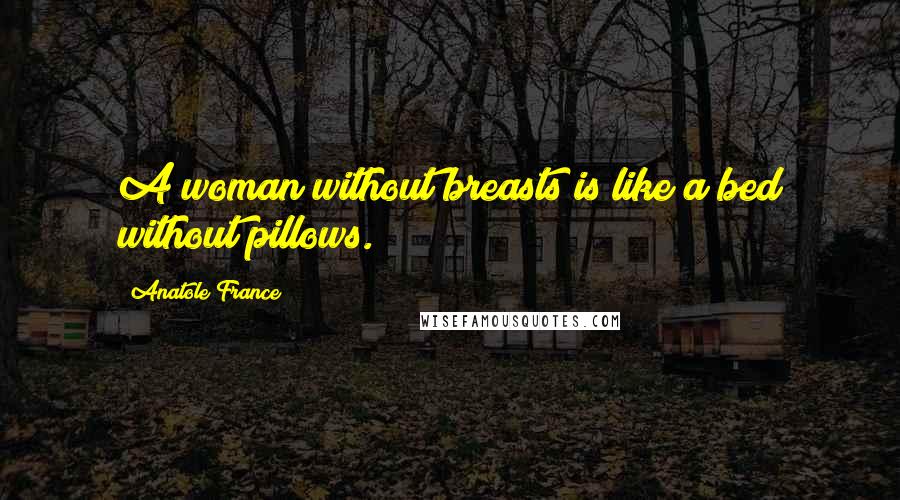 Anatole France Quotes: A woman without breasts is like a bed without pillows.