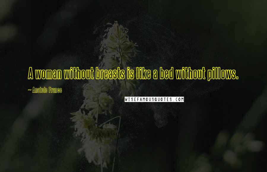 Anatole France Quotes: A woman without breasts is like a bed without pillows.
