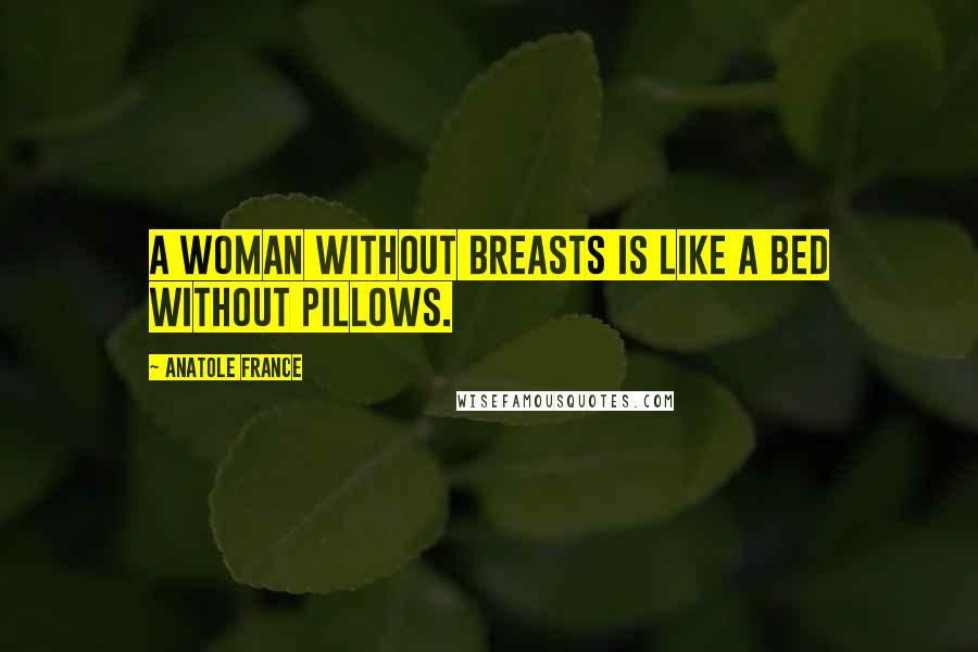 Anatole France Quotes: A woman without breasts is like a bed without pillows.