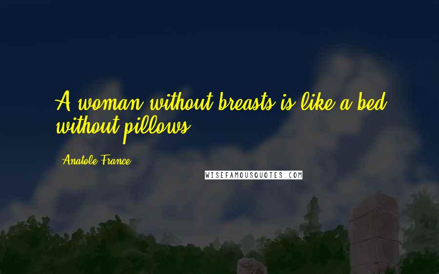 Anatole France Quotes: A woman without breasts is like a bed without pillows.