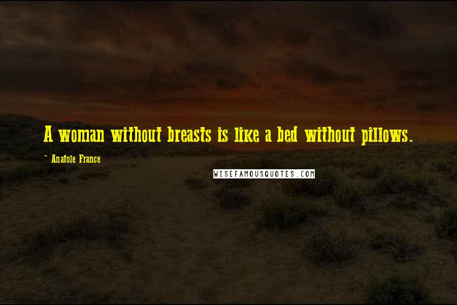Anatole France Quotes: A woman without breasts is like a bed without pillows.