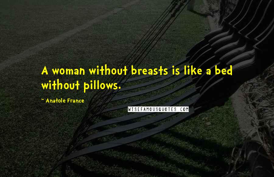 Anatole France Quotes: A woman without breasts is like a bed without pillows.