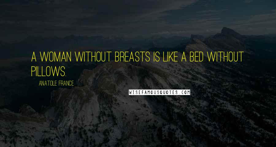 Anatole France Quotes: A woman without breasts is like a bed without pillows.