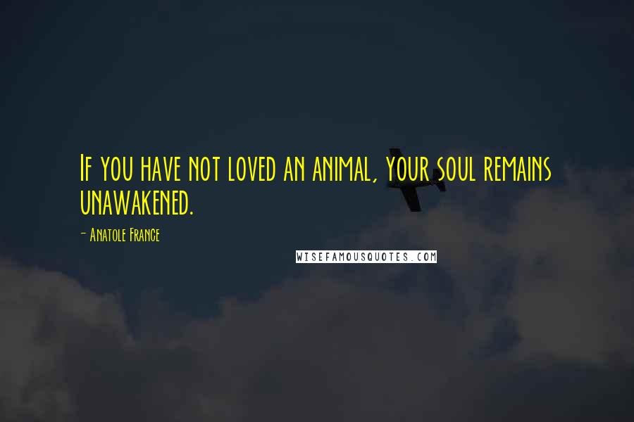 Anatole France Quotes: If you have not loved an animal, your soul remains unawakened.