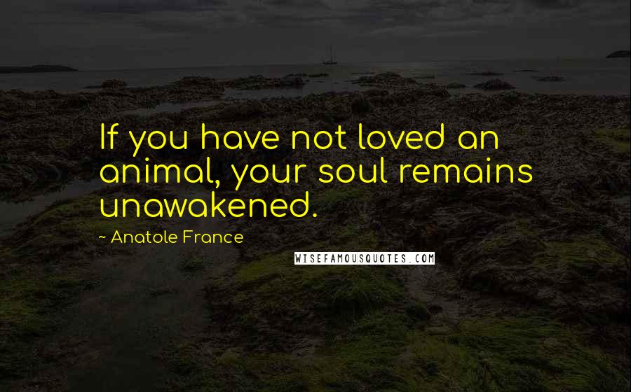 Anatole France Quotes: If you have not loved an animal, your soul remains unawakened.