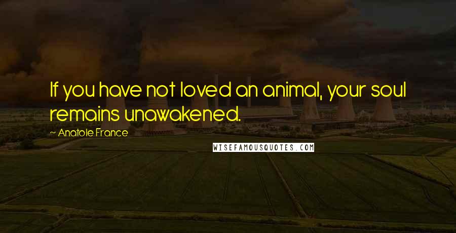 Anatole France Quotes: If you have not loved an animal, your soul remains unawakened.