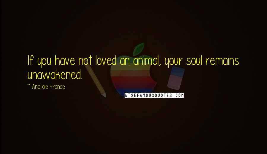 Anatole France Quotes: If you have not loved an animal, your soul remains unawakened.