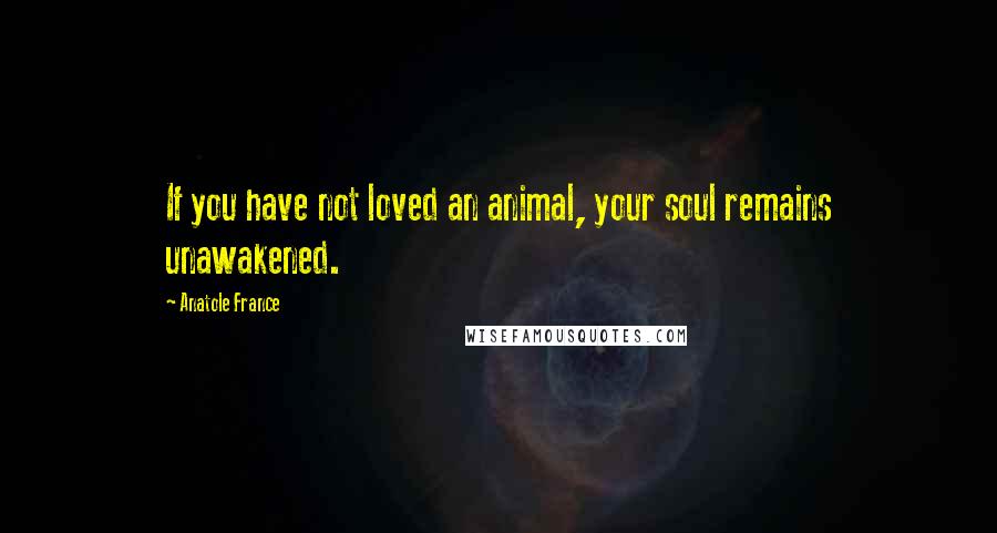 Anatole France Quotes: If you have not loved an animal, your soul remains unawakened.