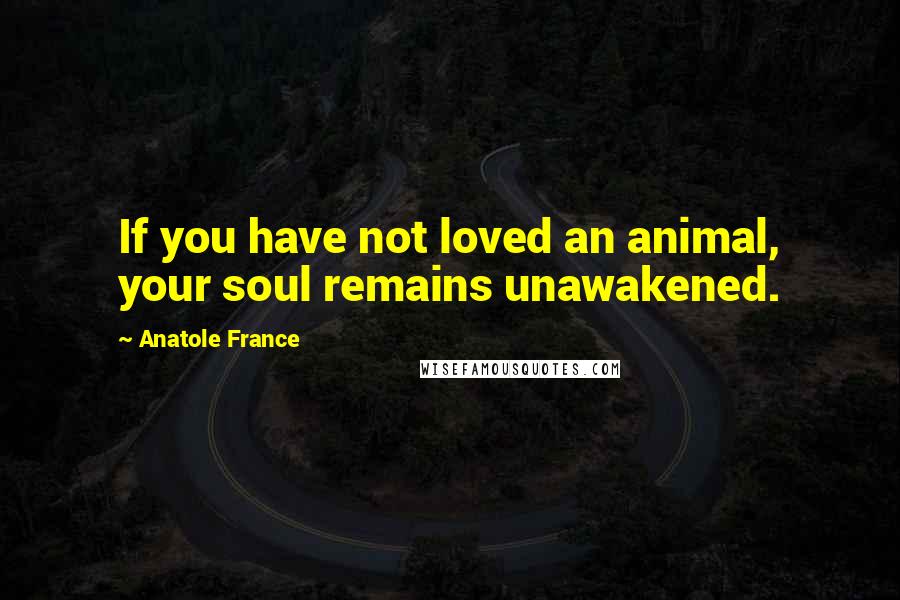 Anatole France Quotes: If you have not loved an animal, your soul remains unawakened.