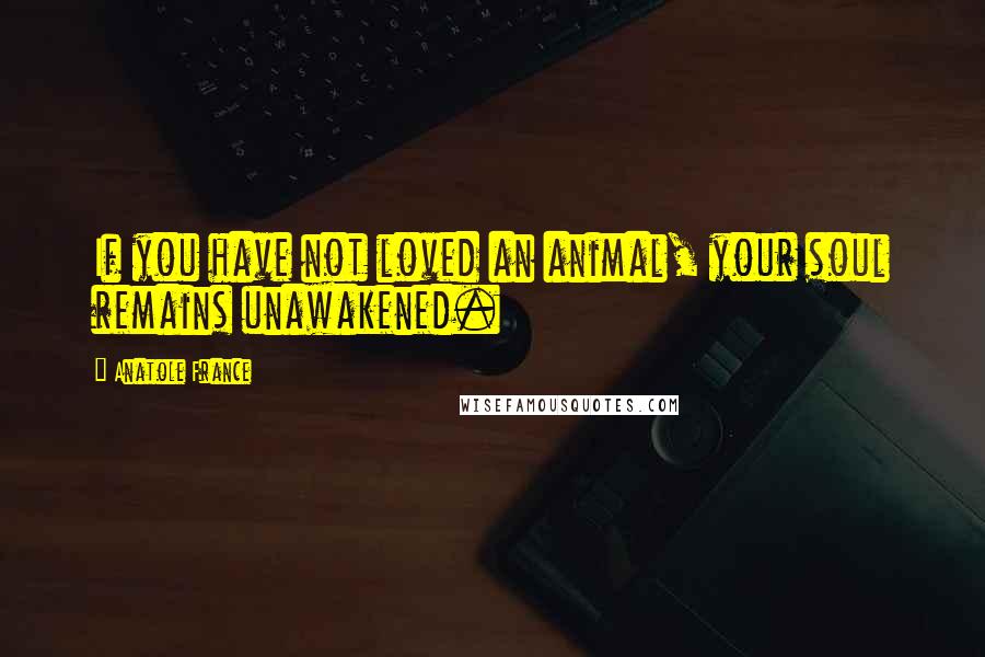 Anatole France Quotes: If you have not loved an animal, your soul remains unawakened.