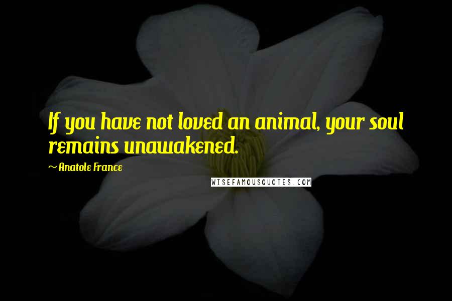 Anatole France Quotes: If you have not loved an animal, your soul remains unawakened.