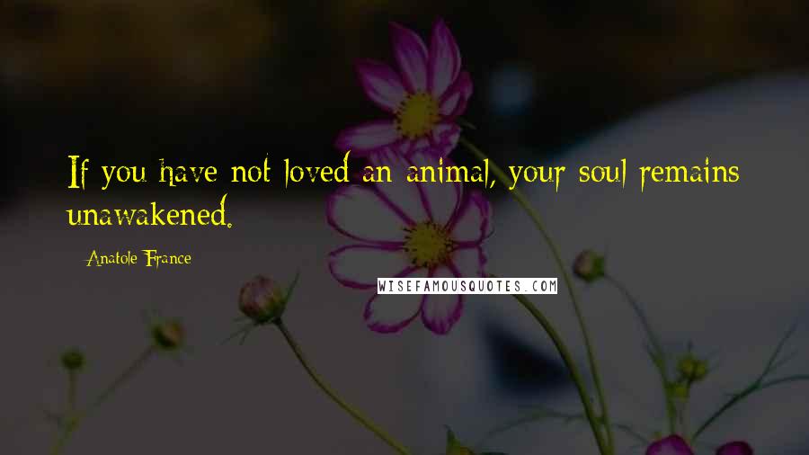 Anatole France Quotes: If you have not loved an animal, your soul remains unawakened.