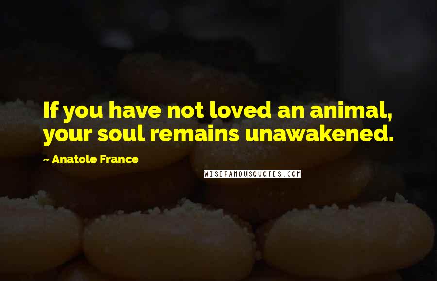 Anatole France Quotes: If you have not loved an animal, your soul remains unawakened.