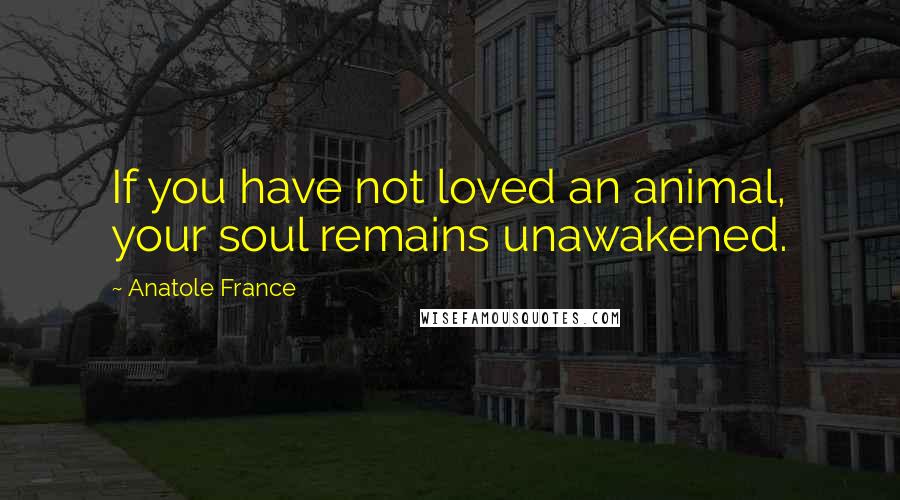 Anatole France Quotes: If you have not loved an animal, your soul remains unawakened.