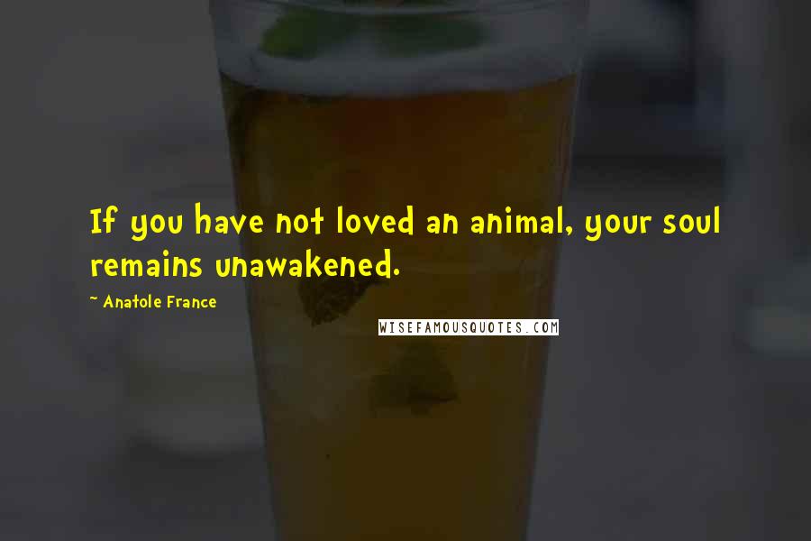 Anatole France Quotes: If you have not loved an animal, your soul remains unawakened.