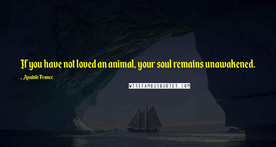 Anatole France Quotes: If you have not loved an animal, your soul remains unawakened.
