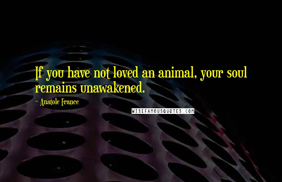 Anatole France Quotes: If you have not loved an animal, your soul remains unawakened.