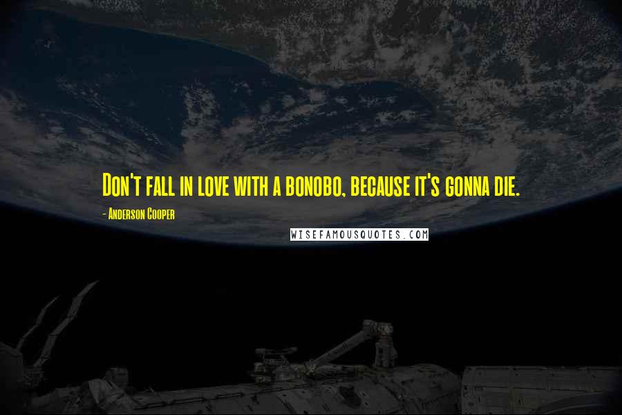 Anderson Cooper Quotes: Don't fall in love with a bonobo, because it's gonna die.