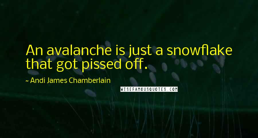 Andi James Chamberlain Quotes: An avalanche is just a snowflake that got pissed off.