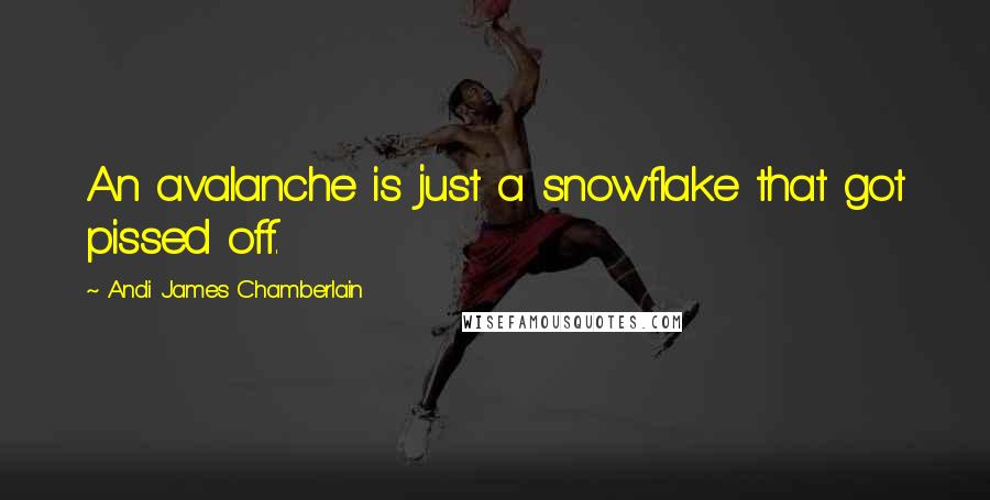 Andi James Chamberlain Quotes: An avalanche is just a snowflake that got pissed off.