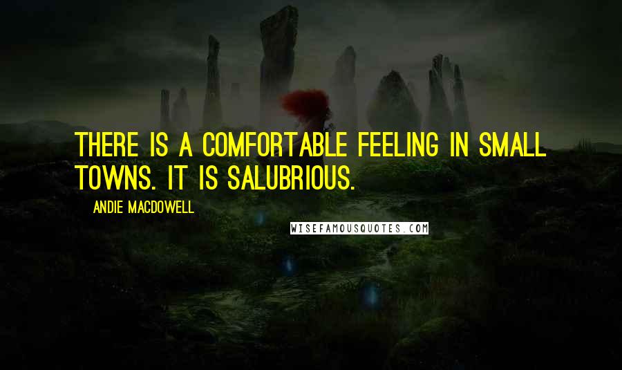 Andie MacDowell Quotes: There is a comfortable feeling in small towns. It is salubrious.