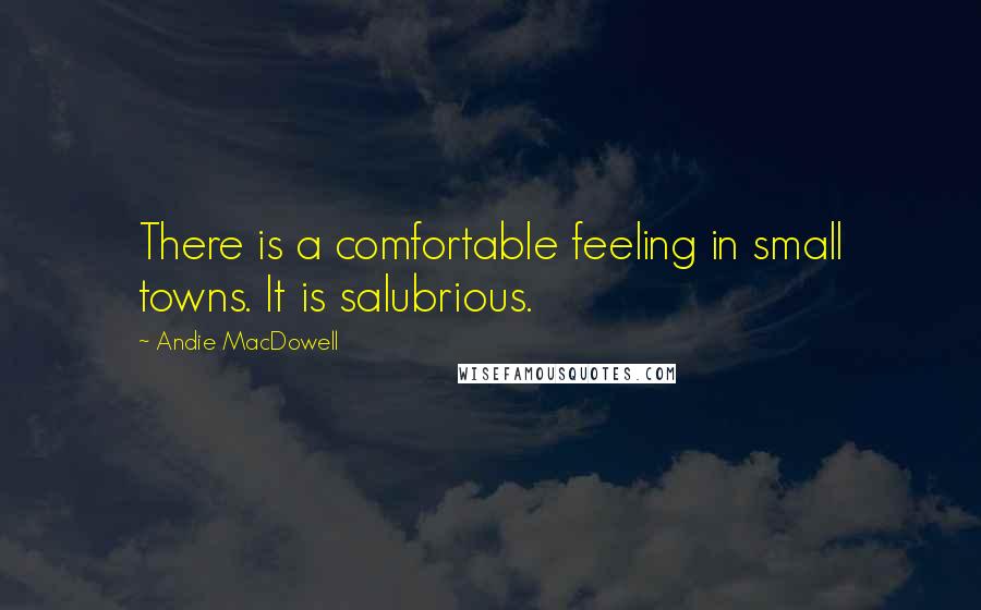 Andie MacDowell Quotes: There is a comfortable feeling in small towns. It is salubrious.