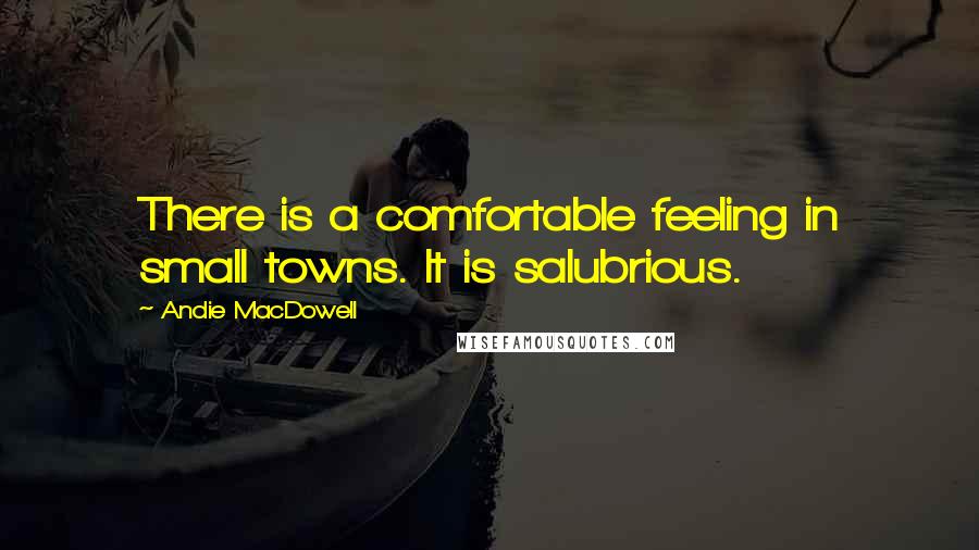 Andie MacDowell Quotes: There is a comfortable feeling in small towns. It is salubrious.