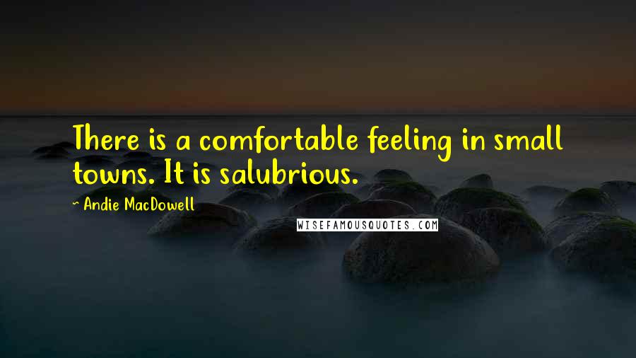 Andie MacDowell Quotes: There is a comfortable feeling in small towns. It is salubrious.