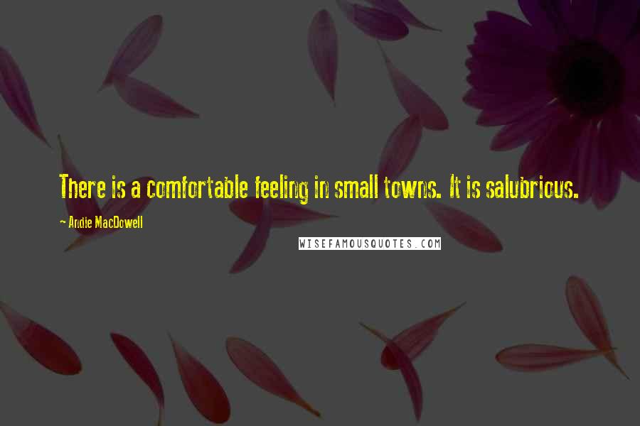 Andie MacDowell Quotes: There is a comfortable feeling in small towns. It is salubrious.