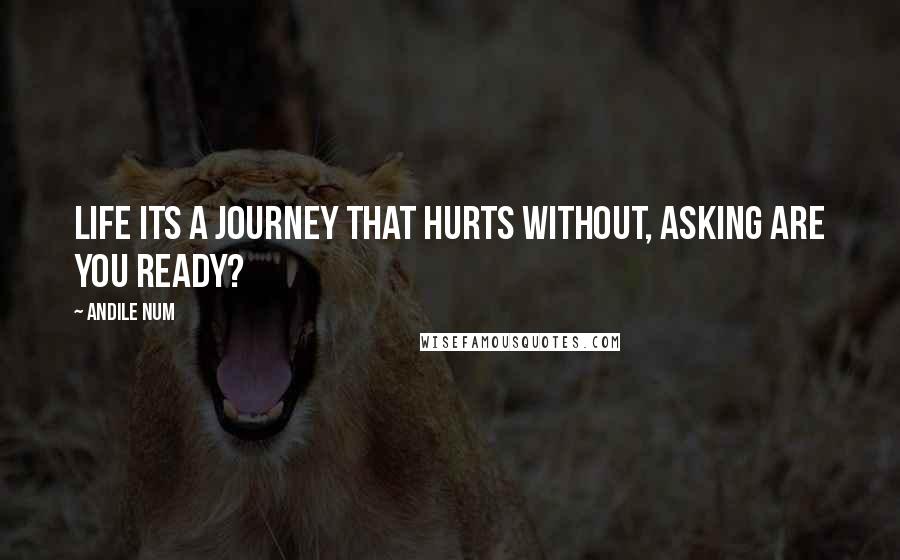 Andile Num Quotes: Life Its A Journey That Hurts Without, Asking Are You Ready?