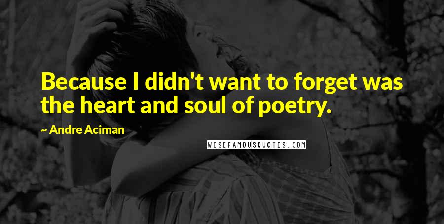 Andre Aciman Quotes: Because I didn't want to forget was the heart and soul of poetry.