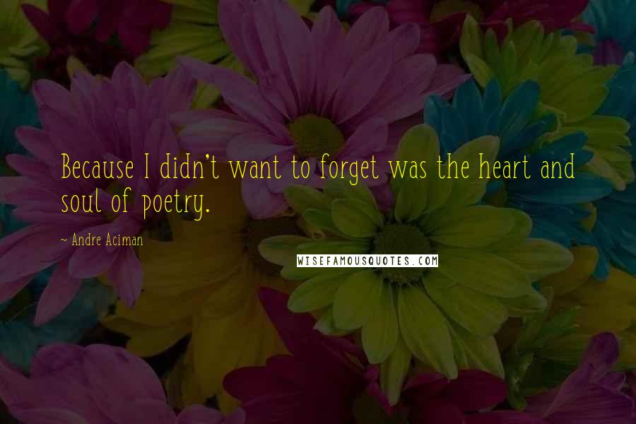 Andre Aciman Quotes: Because I didn't want to forget was the heart and soul of poetry.