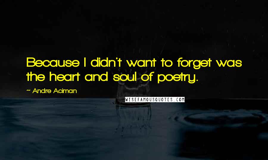 Andre Aciman Quotes: Because I didn't want to forget was the heart and soul of poetry.