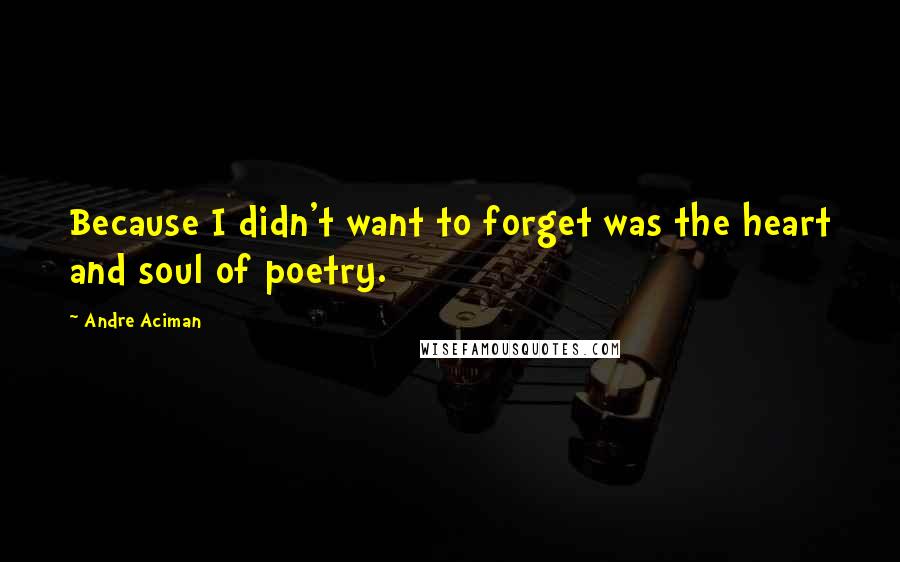 Andre Aciman Quotes: Because I didn't want to forget was the heart and soul of poetry.