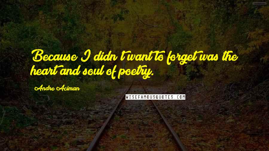 Andre Aciman Quotes: Because I didn't want to forget was the heart and soul of poetry.