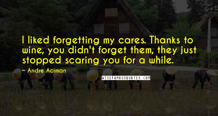 Andre Aciman Quotes: I liked forgetting my cares. Thanks to wine, you didn't forget them, they just stopped scaring you for a while.