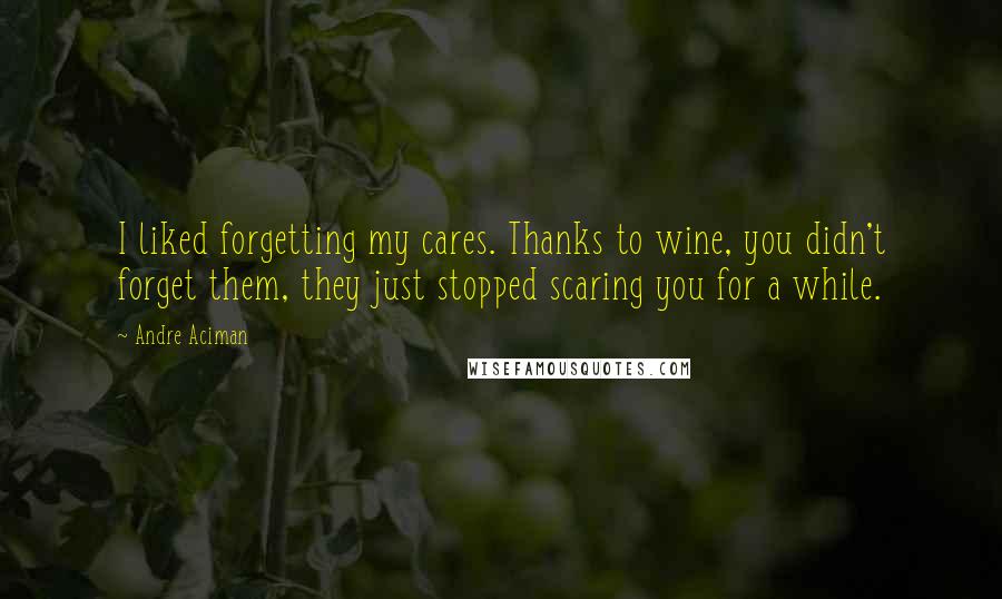 Andre Aciman Quotes: I liked forgetting my cares. Thanks to wine, you didn't forget them, they just stopped scaring you for a while.