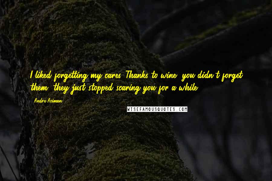 Andre Aciman Quotes: I liked forgetting my cares. Thanks to wine, you didn't forget them, they just stopped scaring you for a while.