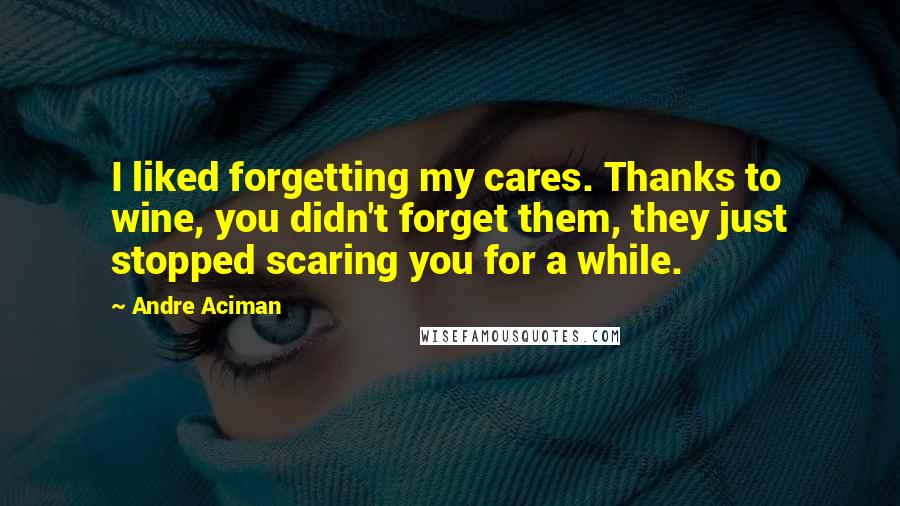 Andre Aciman Quotes: I liked forgetting my cares. Thanks to wine, you didn't forget them, they just stopped scaring you for a while.