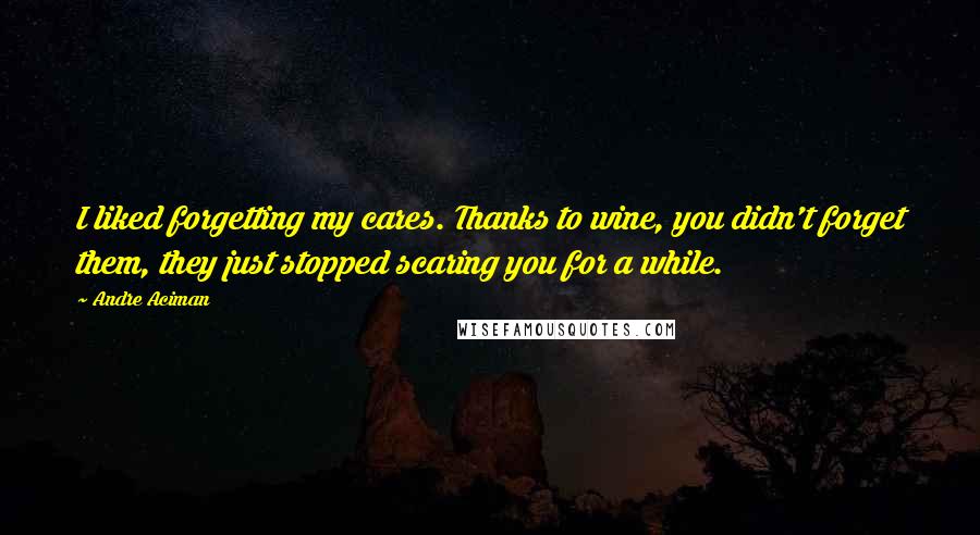 Andre Aciman Quotes: I liked forgetting my cares. Thanks to wine, you didn't forget them, they just stopped scaring you for a while.