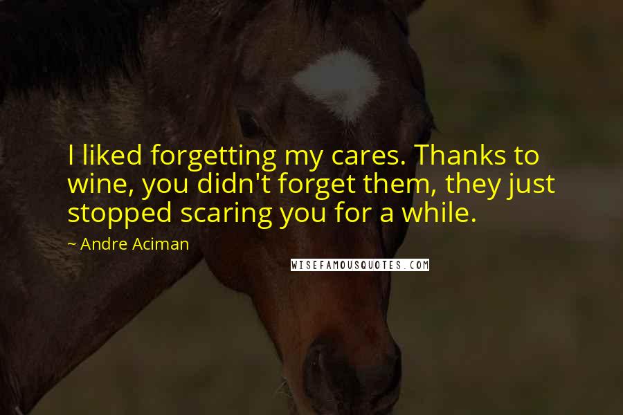 Andre Aciman Quotes: I liked forgetting my cares. Thanks to wine, you didn't forget them, they just stopped scaring you for a while.