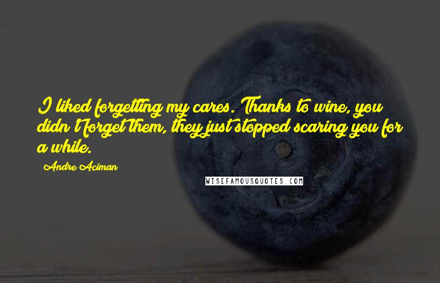 Andre Aciman Quotes: I liked forgetting my cares. Thanks to wine, you didn't forget them, they just stopped scaring you for a while.